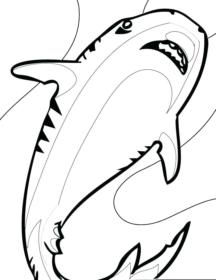 736x952 Great White Shark Coloring Page Great White Shark Coloring Page