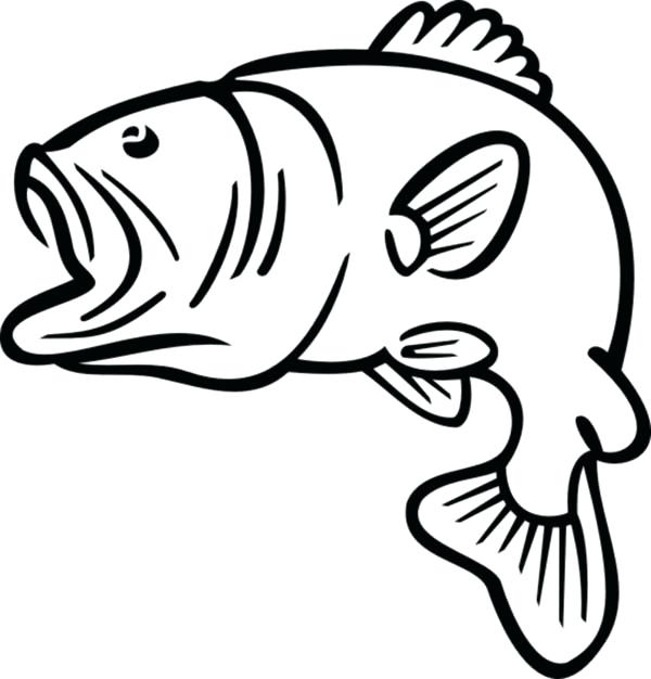 600x626 Bass Coloring Pages Bass Boat Outline Of Fish Bass Boat Coloring