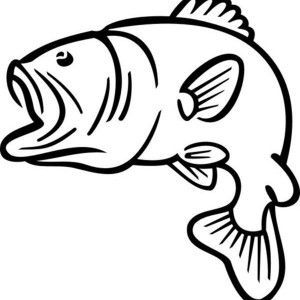 300x300 Bass Fish Jumping Outline Sketch Coloring Page Brenda