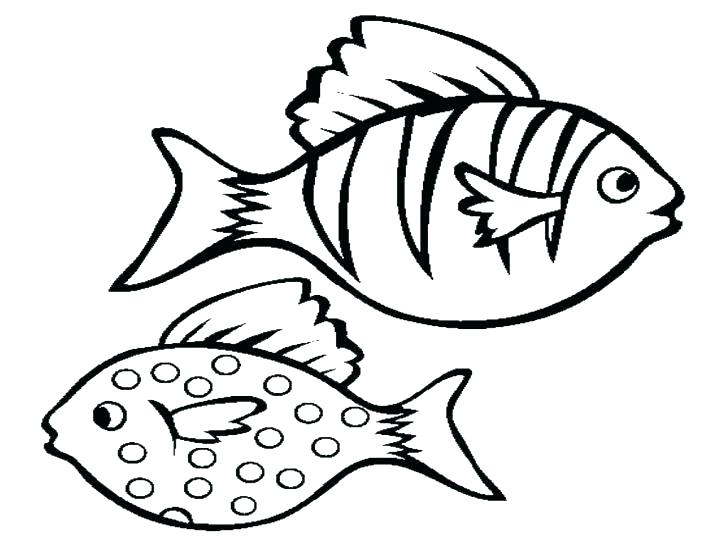 728x546 Bass Coloring Pages Bass Fish Coloring Pages Bass Fish Coloring