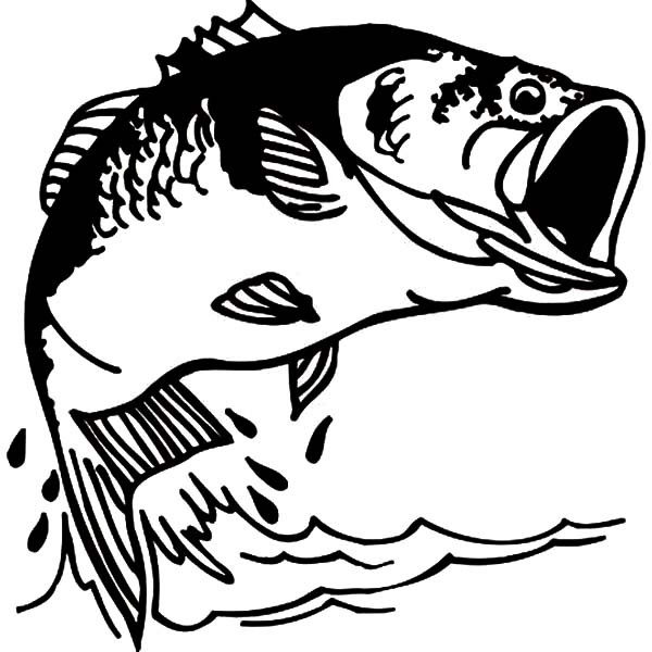 600x600 Fishing Bass Fish Coloring Pages Best Place To Color