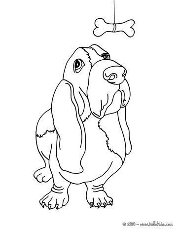 363x470 Basset Hound Coloring Pages