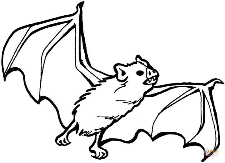 Bat Coloring Sheet 720x523 Bat Coloring Sheet