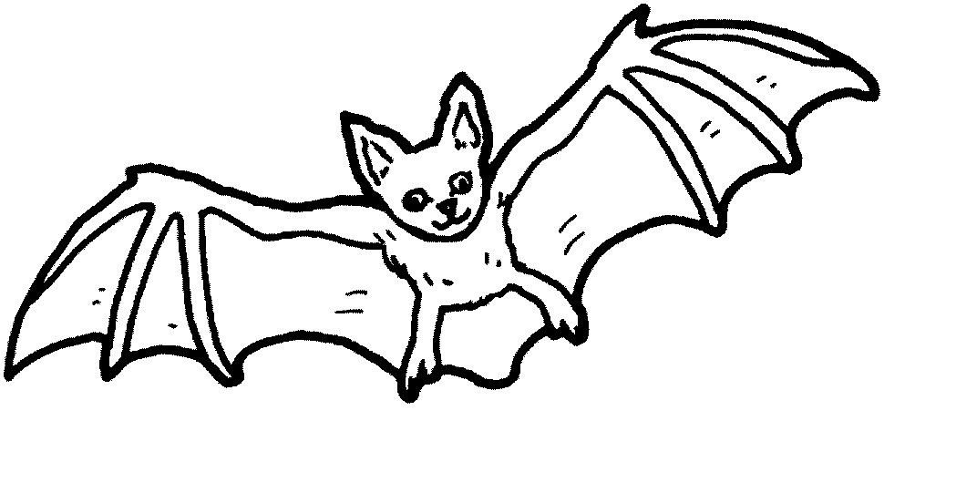 Coloring Pages Of Bats 28 Bat Coloring Page Printable Bat Coloring 1049x541 Coloring Pages Of Bats 28 Bat Coloring Page Printable Bat Coloring