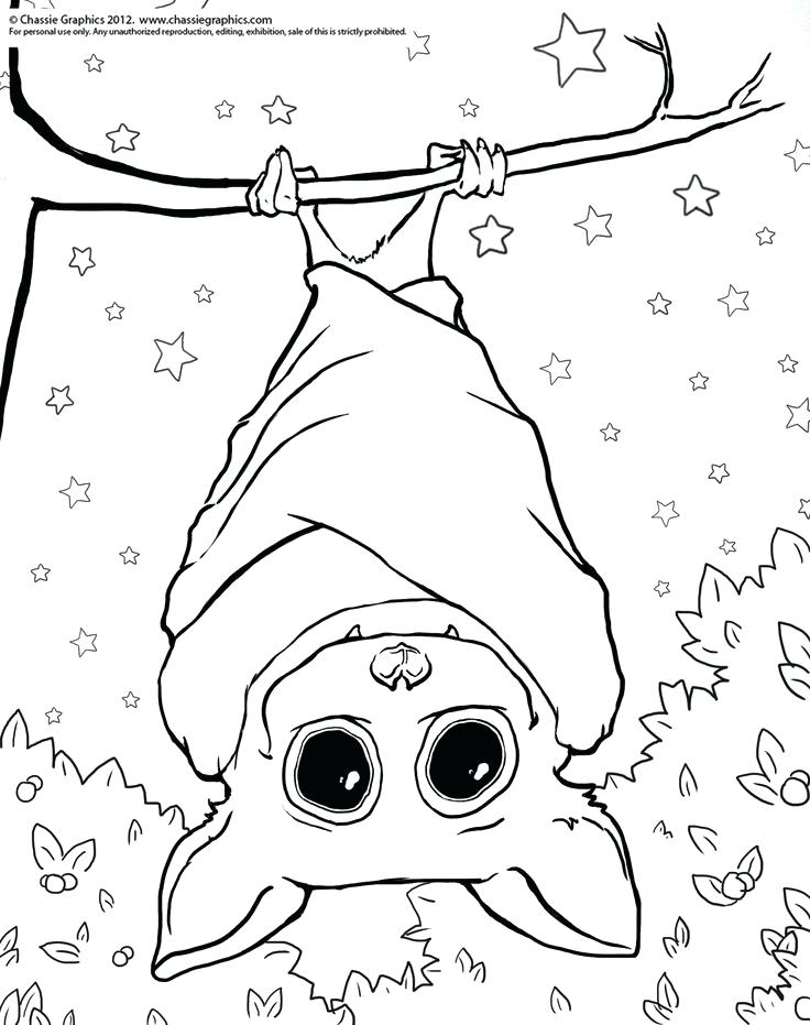 Bat Coloring Pages 736x931 Bat Coloring Pages