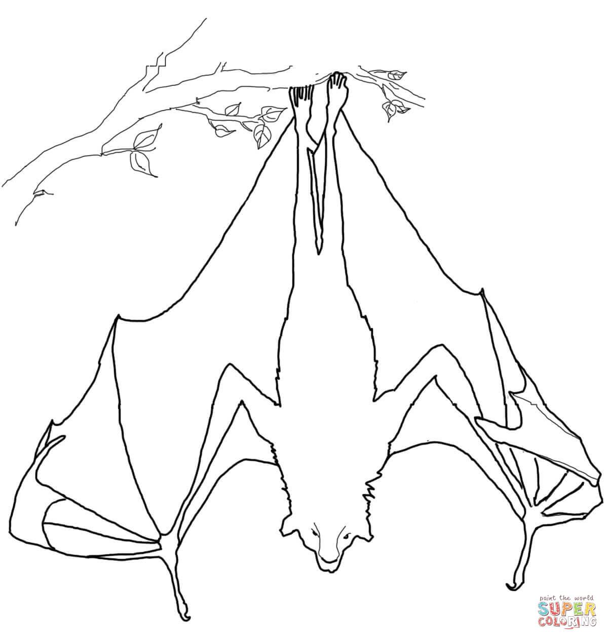 Bats Coloring Pages Free Best Of Bat Page 1200x1264 Bats Coloring Pages Free Best Of Bat Page