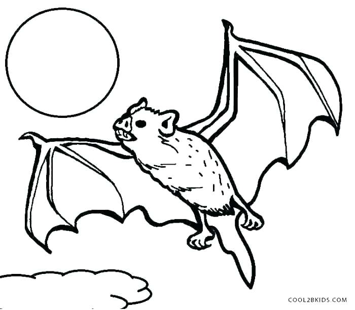 Bat Coloring Pages 700x610 Bat Coloring Pages