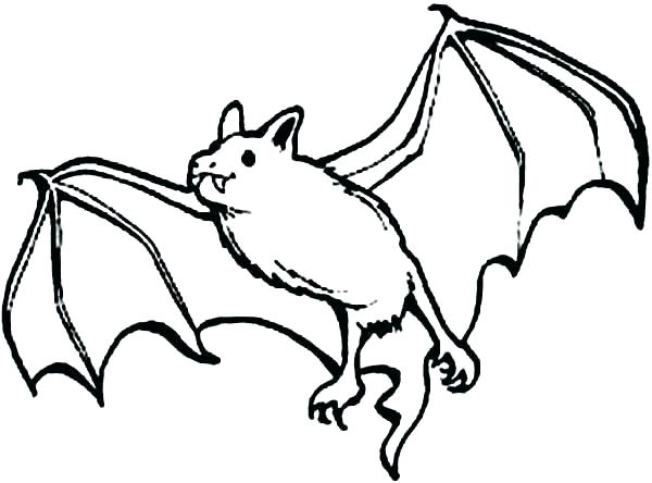 Bat Coloring Page Bat Coloring Pages Realistic Bats Coloring Pages 600x444 Bat Coloring Page Bat Coloring Pages Realistic Bats Coloring Pages