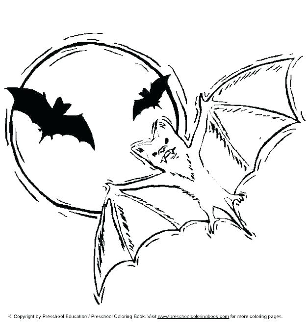 Bats Coloring Pages Free Printable Vampire Bat Coloring Bats 628x660 Bats Coloring Pages Free Printable Vampire Bat Coloring Bats