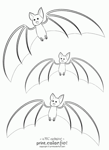 Bat Coloring Pages Print