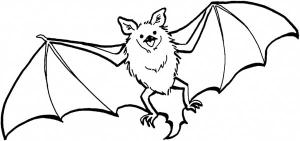 Bat Coloring Page 600x282 Bat Coloring Page