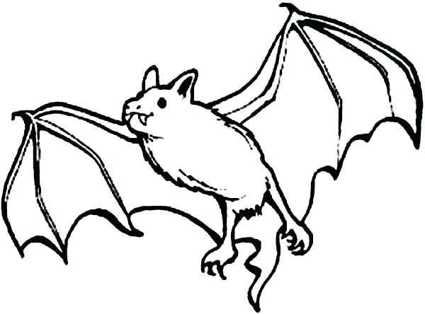 Bat Coloring Pages Bat Coloring Bat Coloring Pages Together 600x444 Bat Coloring Pages Bat Coloring Bat Coloring Pages Together