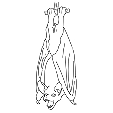 Top 20 Free Printable Bats Coloring Pages Online 230x230 Top 20 Free Printable Bats Coloring Pages Online