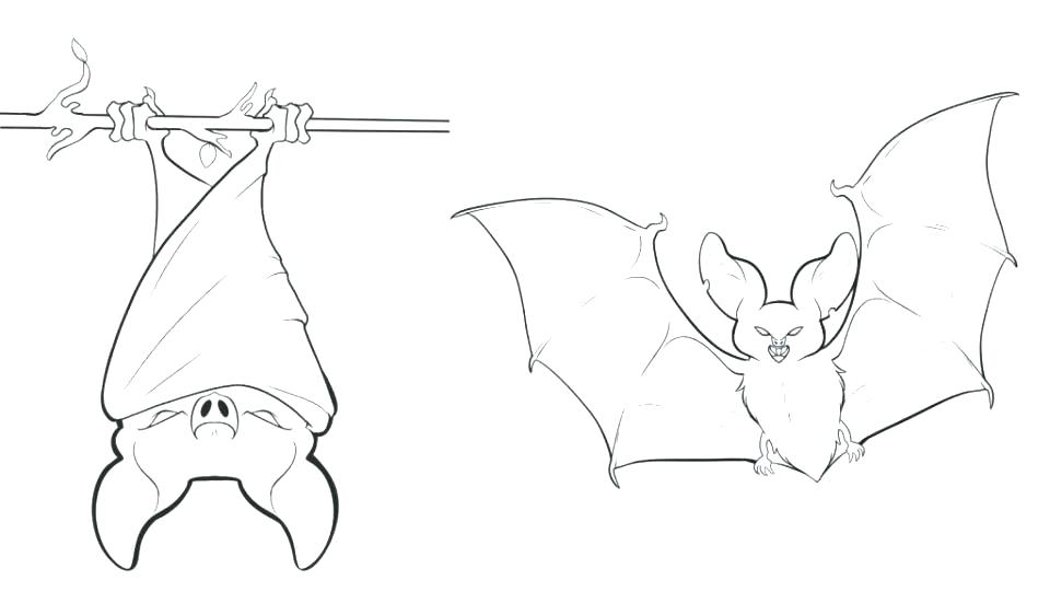 Vampire Bat Coloring Page Coloring Pages Bat Bat Coloring Pages 960x562 Vampire Bat Coloring Page Coloring Pages Bat Bat Coloring Pages