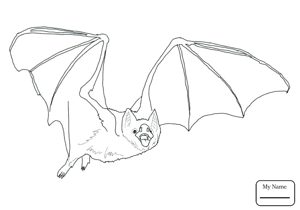 1024x716 Baseball Baby Shower Free Printables Coloring Pages Bat Coloring