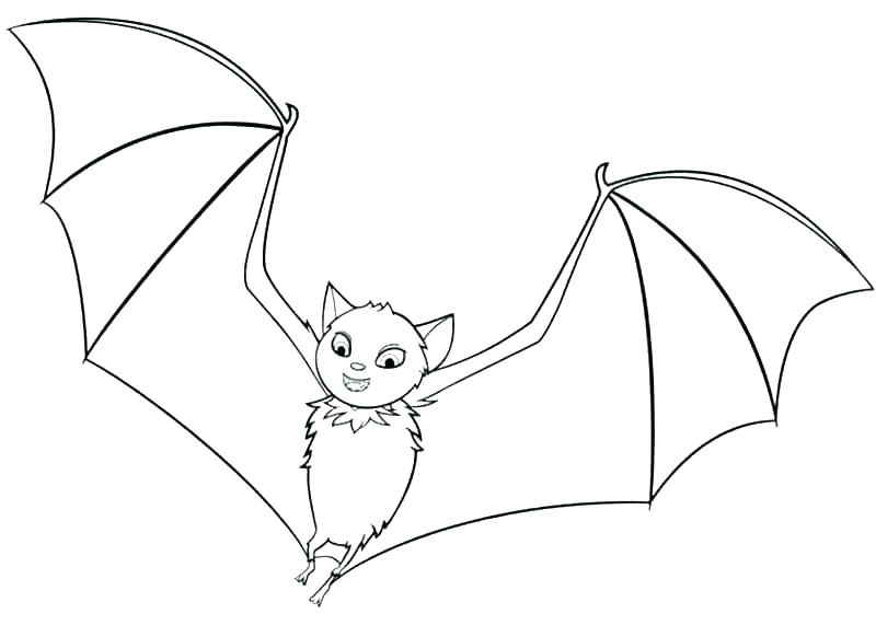 800x571 Bat Coloring Page Bat Coloring Pages Bats Coloring Pages Bat