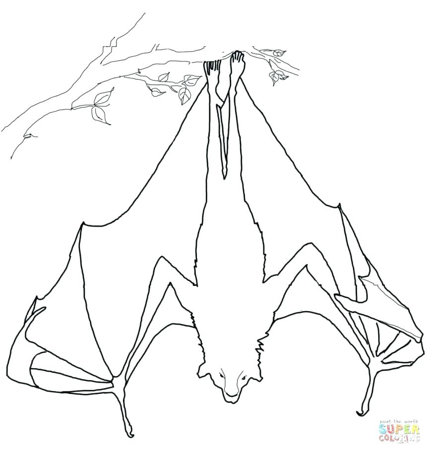 863x909 Exciting Coloring Page Of A Bat Coloring Pages Printable Coloring