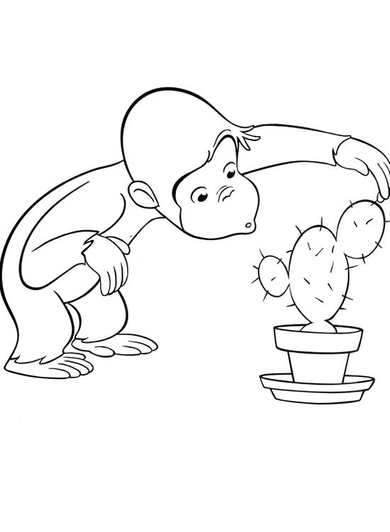 550x751 Coloring Pages Curious George Curious In Bathtub Coloring Page