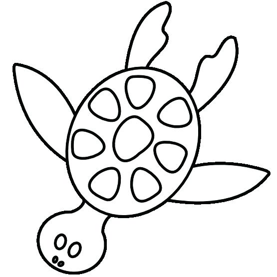 Glow Book Piranha Coloring Page Piranha Coloring Page Pin Drawn 555x555 Glow Book Piranha Coloring Page Piranha Coloring Page Pin Drawn