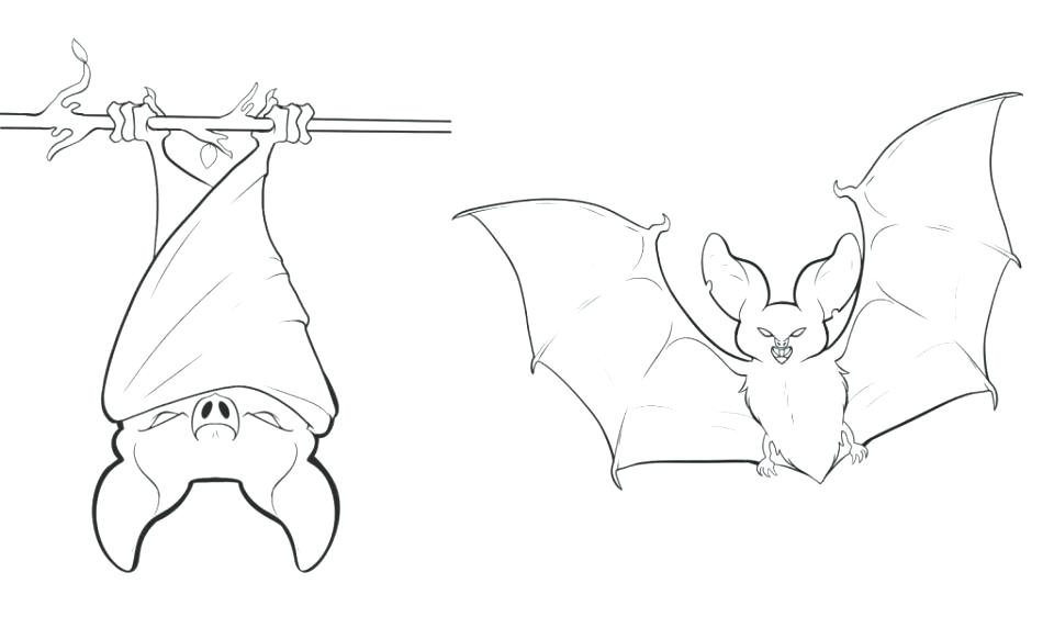 Coloring Pages Of Bats Coloring Pages Bats Bat Coloring Page Free 960x562 Coloring Pages Of Bats Coloring Pages Bats Bat Coloring Page Free