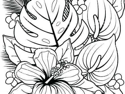 Coloring Pages Beach House Hawaiian Images Page Top For Toddler 440x330 Coloring Pages Beach House Hawaiian Images Page Top For Toddler