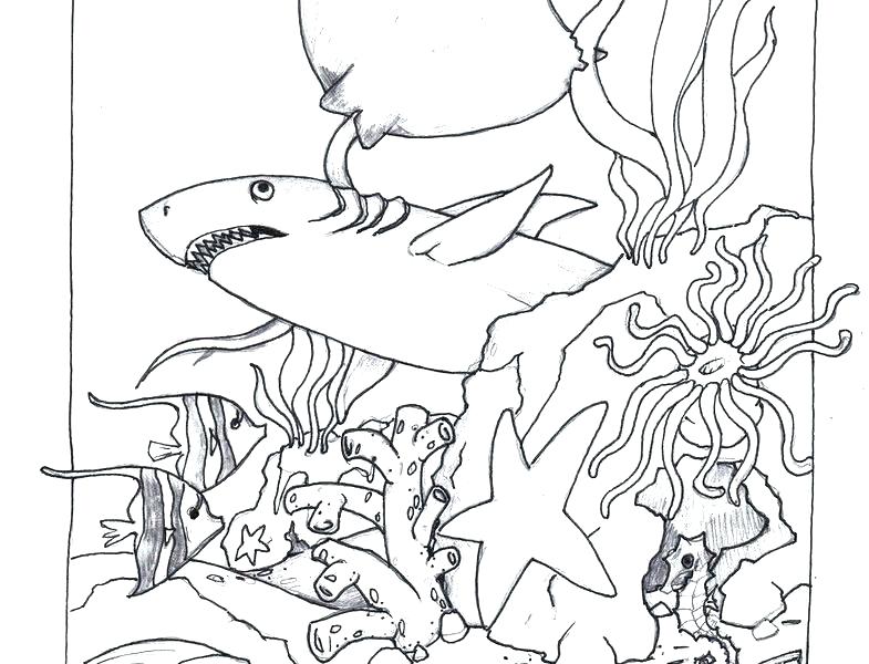 Sunrise Coloring Page 785x600 Sunrise Coloring Page