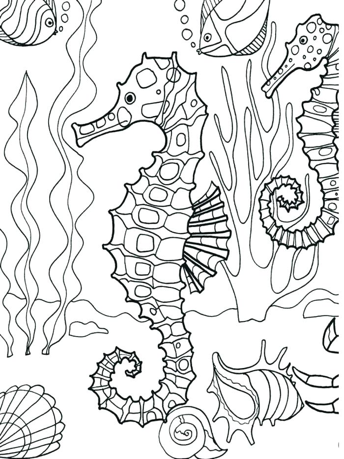 700x934 Coloring Pages Beach Scenes Ocean Scene Coloring Page Images About