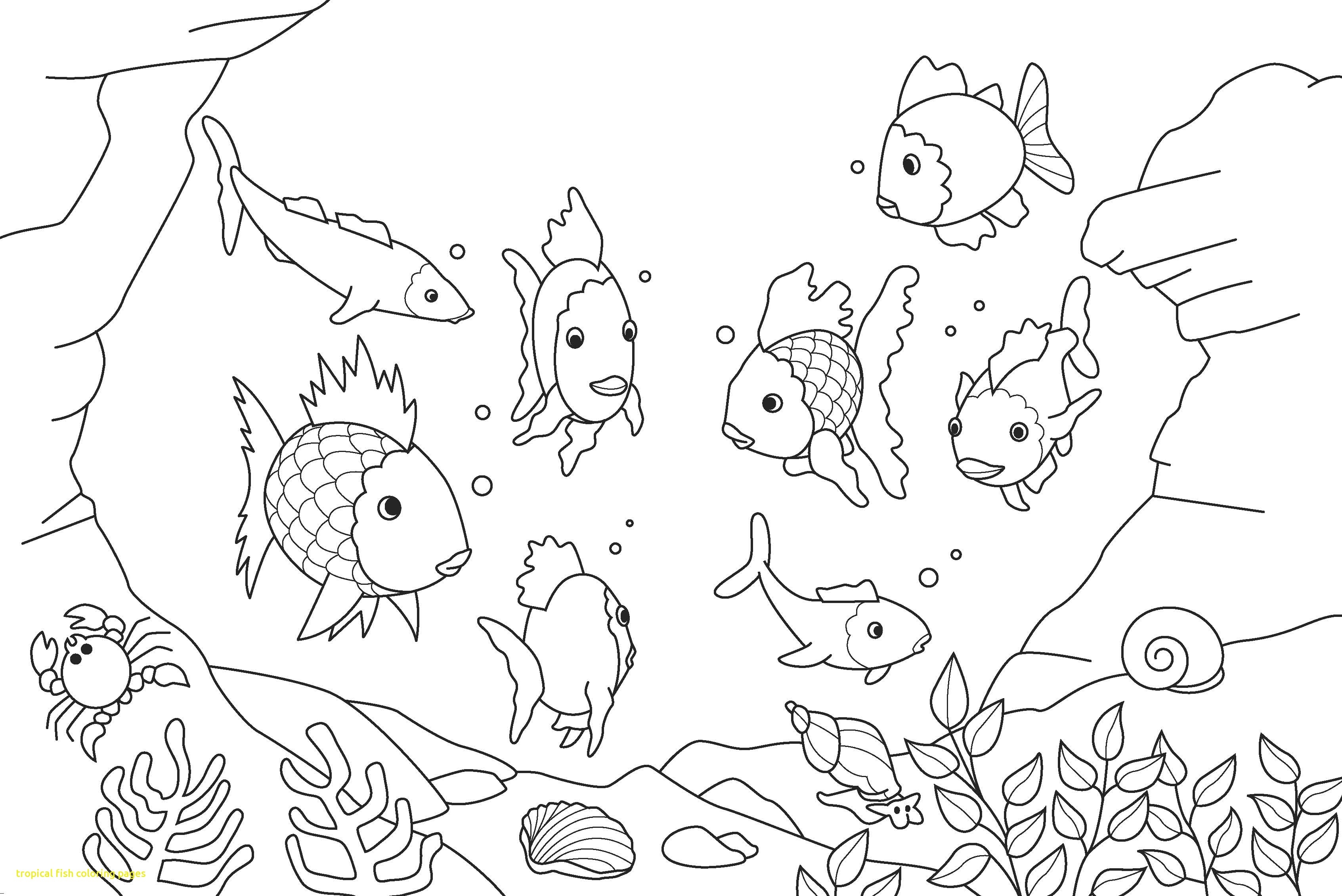 Tropical Coloring Pages To Print 3386x2260 Tropical Coloring Pages To Print