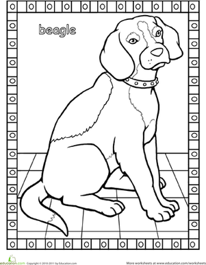 301x386 Color A Beagle! Worksheet
