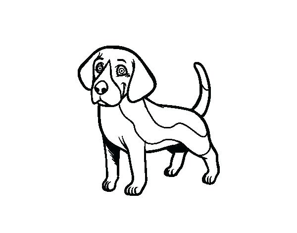 600x470 Beagle Coloring Pages Beagle Coloring Pages