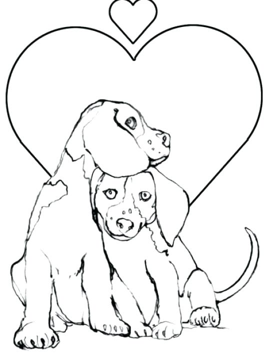 546x712 Beagle Coloring Pages Coloring Pages Of Dogs Also Beagle Coloring
