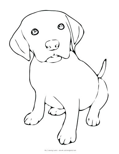 Beagle Dog Coloring Pages at GetColorings.com | Free printable ...