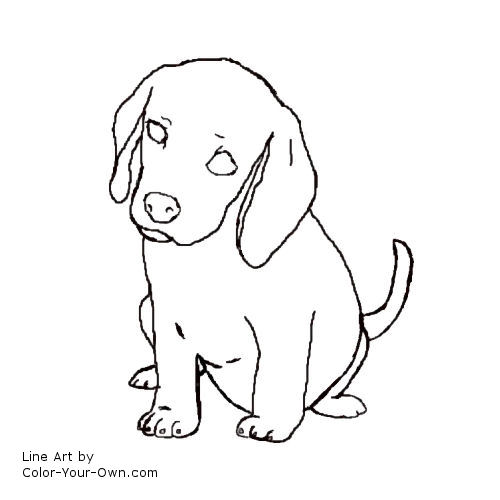 500x500 Beagle Puppy Coloring Page