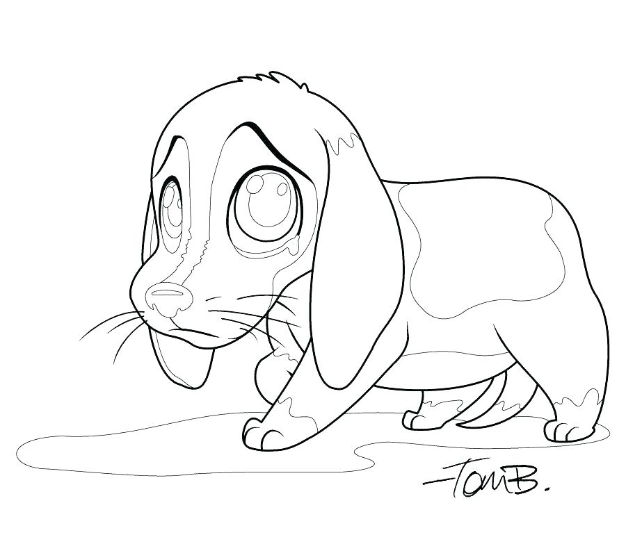 900x770 Beagle Coloring Pages Pound Puppies Coloring Pages Beagle Coloring