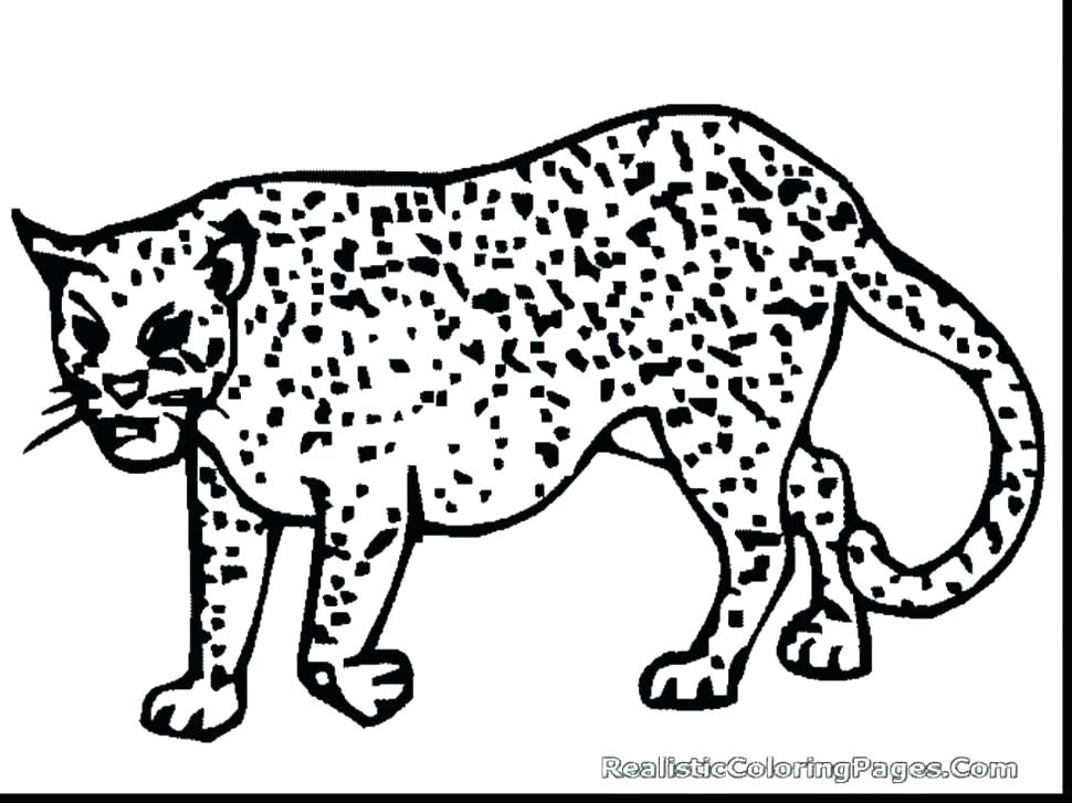 970x727 Coloring Pages Cheetah Cheetah Coloring Pages Cheetah Coloring