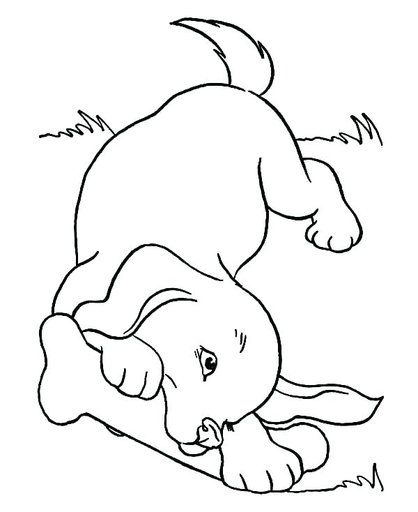 Beanie Boo Coloring Pages Cartoon Dog Coloring Pages Cute Dogs 600x734 Beanie Boo Coloring Pages Cartoon Dog Coloring Pages Cute Dogs