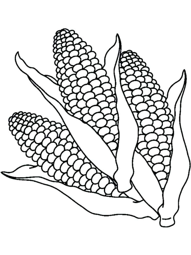 750x1000 Corn Stalk Coloring Page Corn Stalks Coloring Pages Squash Page