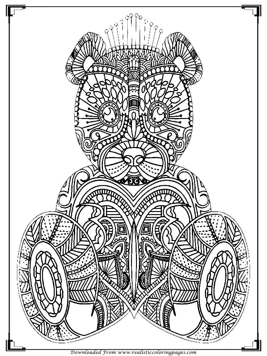 864x1152 Marvelous Bear Coloring Pages For Adult Printable Realistic