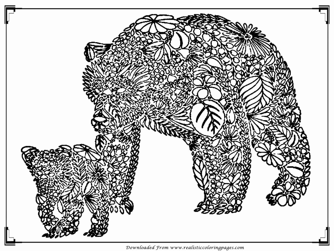 1152x864 Adult Coloring Free Pages Awesome Free Printable Bear Adult