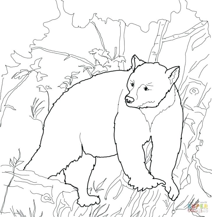728x743 Black Bear Coloring Pages Black Bear Coloring Pages Coloring Bear
