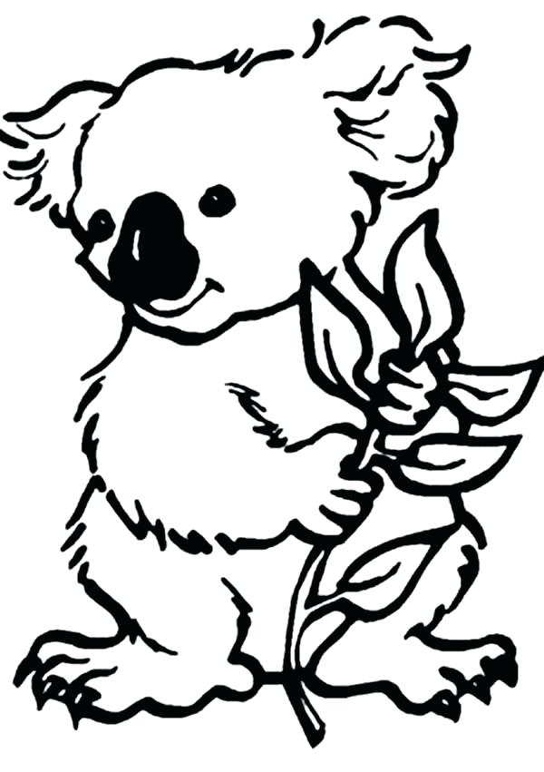600x851 Free Koala Bear Coloring Pages Printable Coloring Realistic Koala