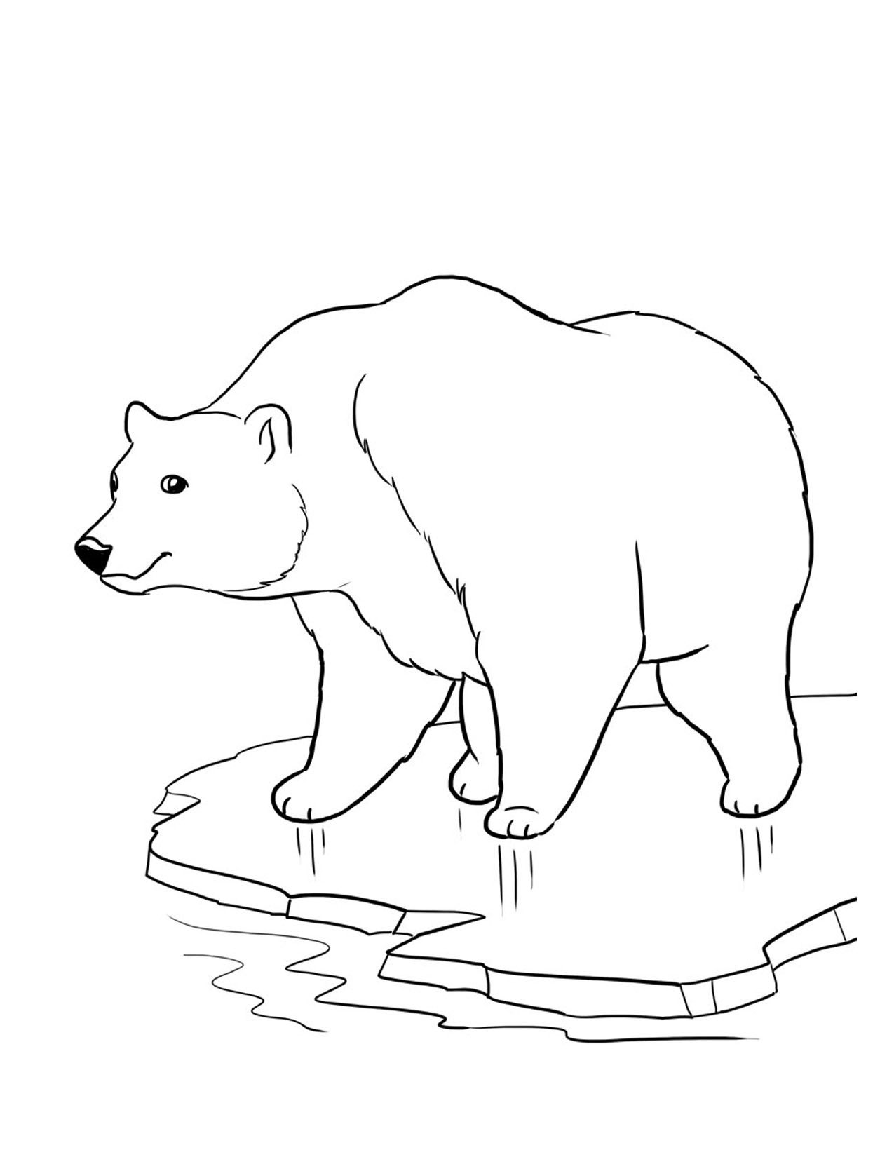 1275x1650 Printable Polar Bear Coloring Pages Me In Page Throughout 1