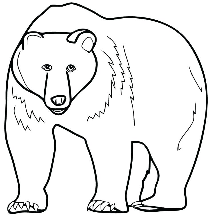 735x755 Coloring Pages Of A Bear