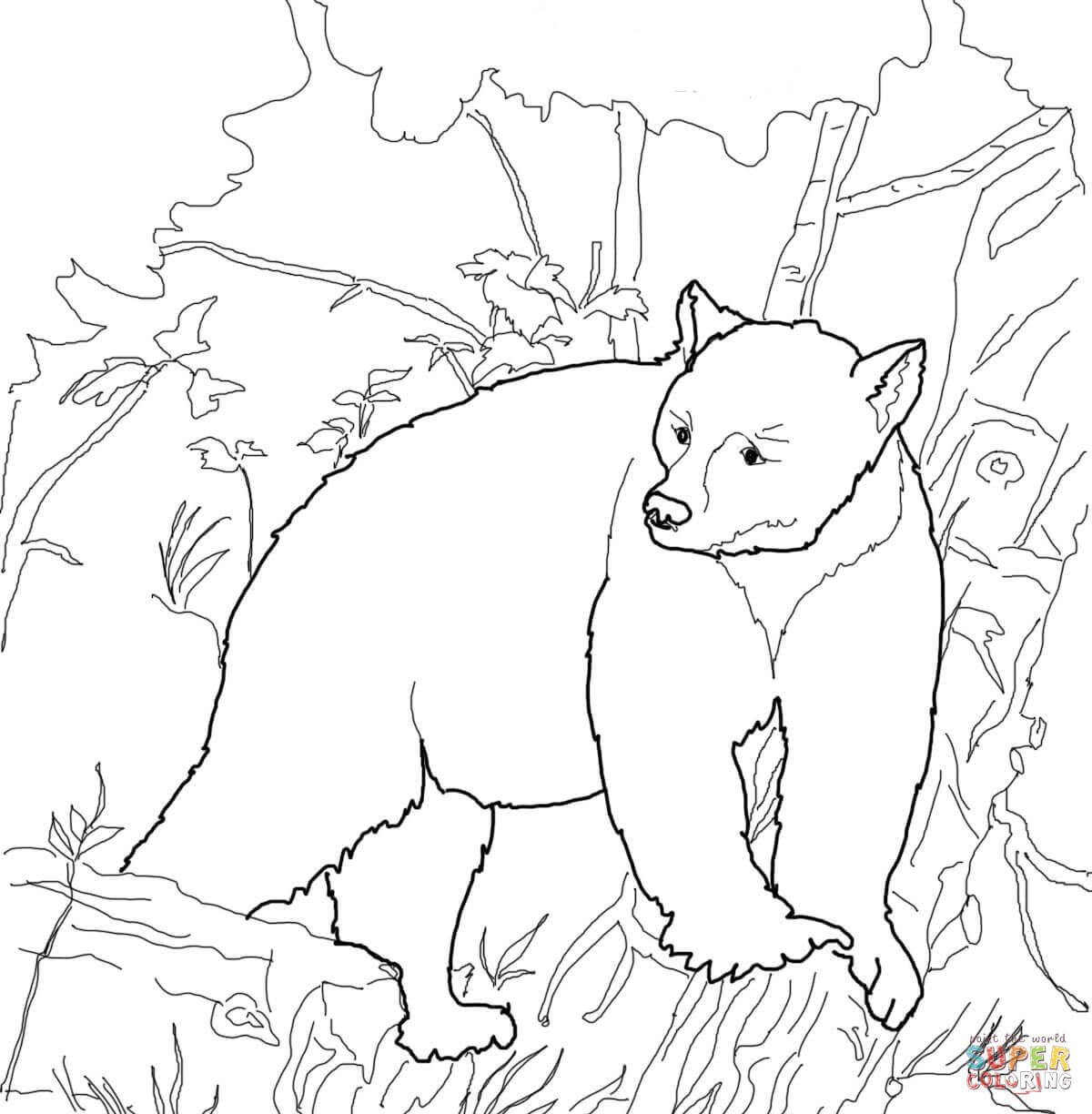 Surprise Colouring Pictures Of Bears Free Prin 1200x1224 Surprise Colouring Pictures Of Bears Free Prin