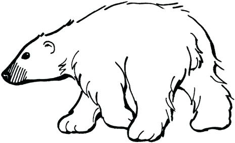 Coloring Polar Bear Coloring Pages Printable Throughout Free 465x282 Coloring Polar Bear Coloring Pages Printable Throughout Free