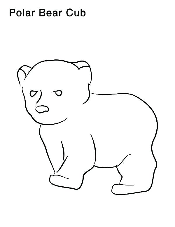 Coloring Pages Of Polar Bears Coloring Pages Draw A Polar Bear 600x776 Coloring Pages Of Polar Bears Coloring Pages Draw A Polar Bear