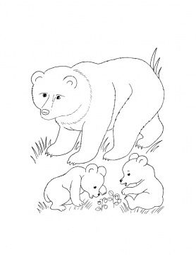 Cub Scout Coloring Pages Coloring Pages Bear Cub (Preschool 278x360 Cub Scout Coloring Pages Coloring Pages Bear Cub (Preschool