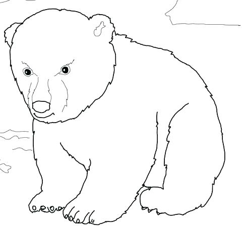 Polar Bear Coloring Pages Printable Polar Bear Coloring Pictures 480x452 Polar Bear Coloring Pages Printable Polar Bear Coloring Pictures