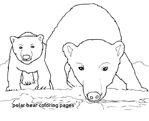 Bear Cub Coloring Pages Curious Polar Bear Mother And Cub Coloring 480x389 Bear Cub Coloring Pages Curious Polar Bear Mother And Cub Coloring
