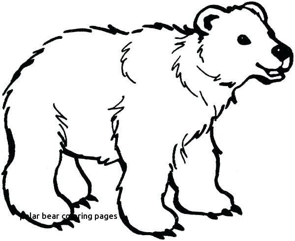 Bear Face Coloring Page Little Brown Pages What Do You See Twit 600x490 Bear Face Coloring Page Little Brown Pages What Do You See Twit